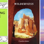 Books by Carolyn Askar